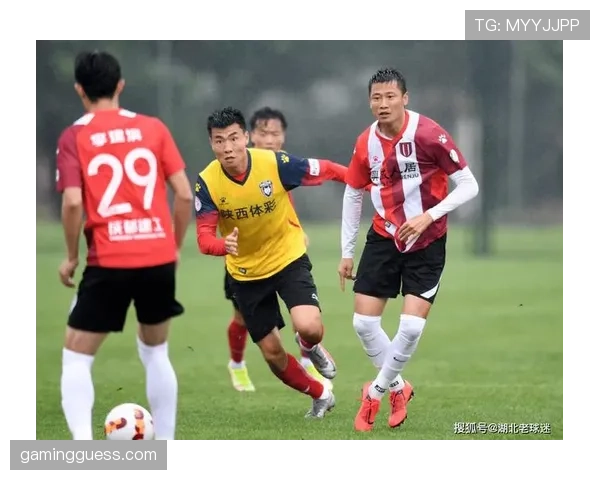 专家分析：中游球队战绩分化的关键，在于对现代空间型四号位的使用效果